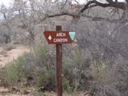 02 Entering Arch Canyon
